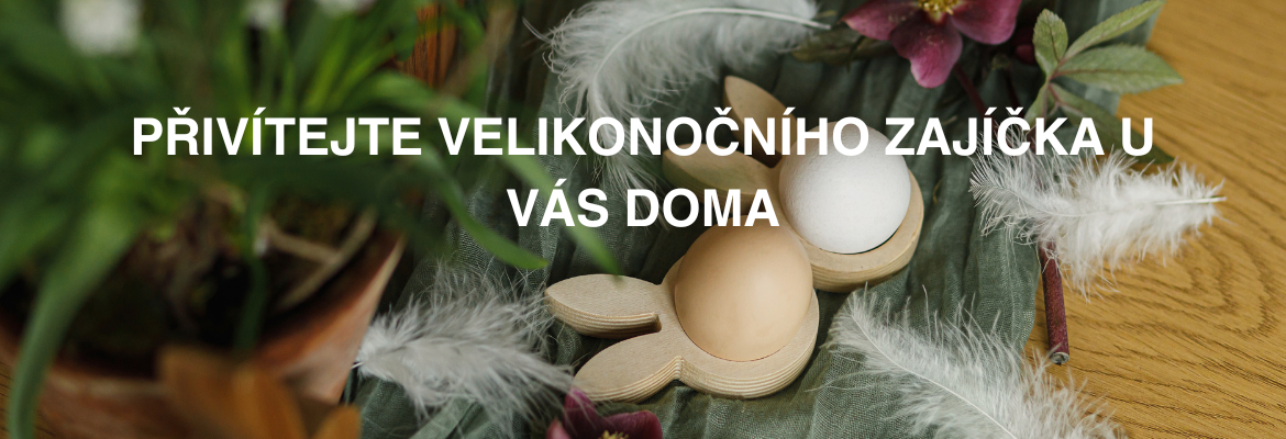 banner CZ desktop (23)